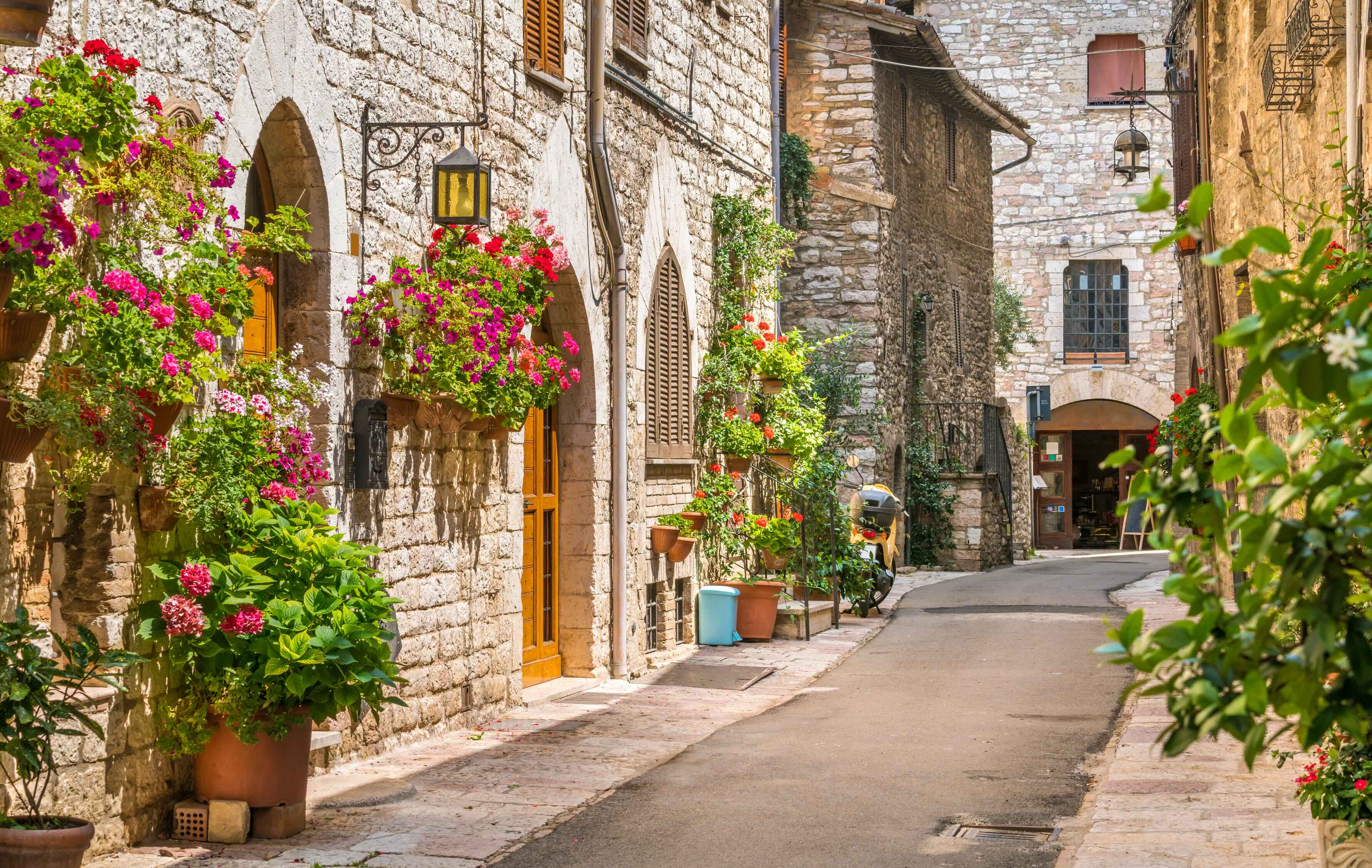 Assisi