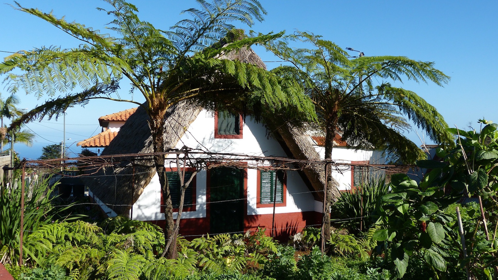Santana thatched houses