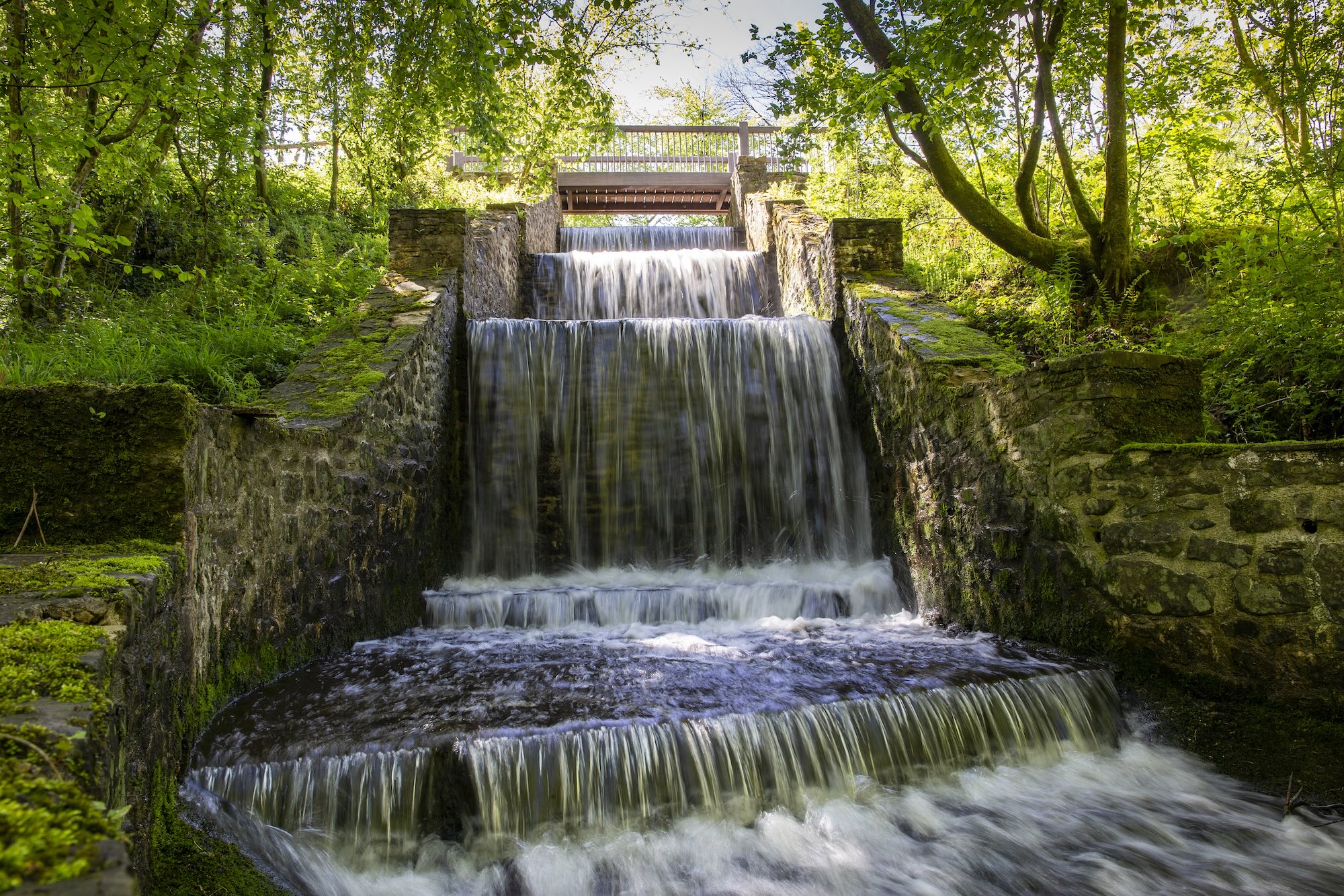 National Botanic Garden Wales