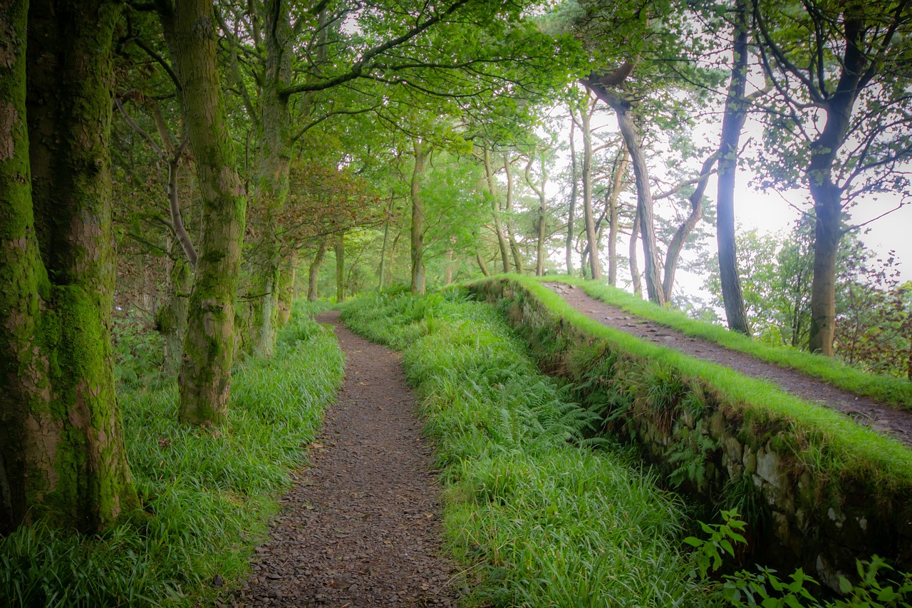 Hadrian's Wall