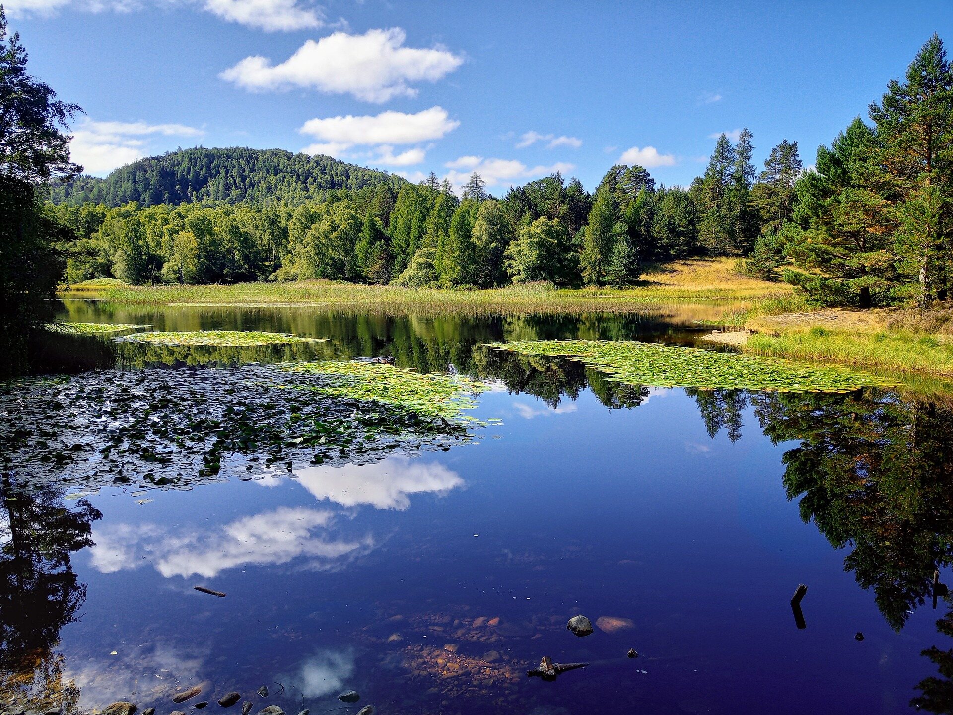 Pitlochry & The Highlands