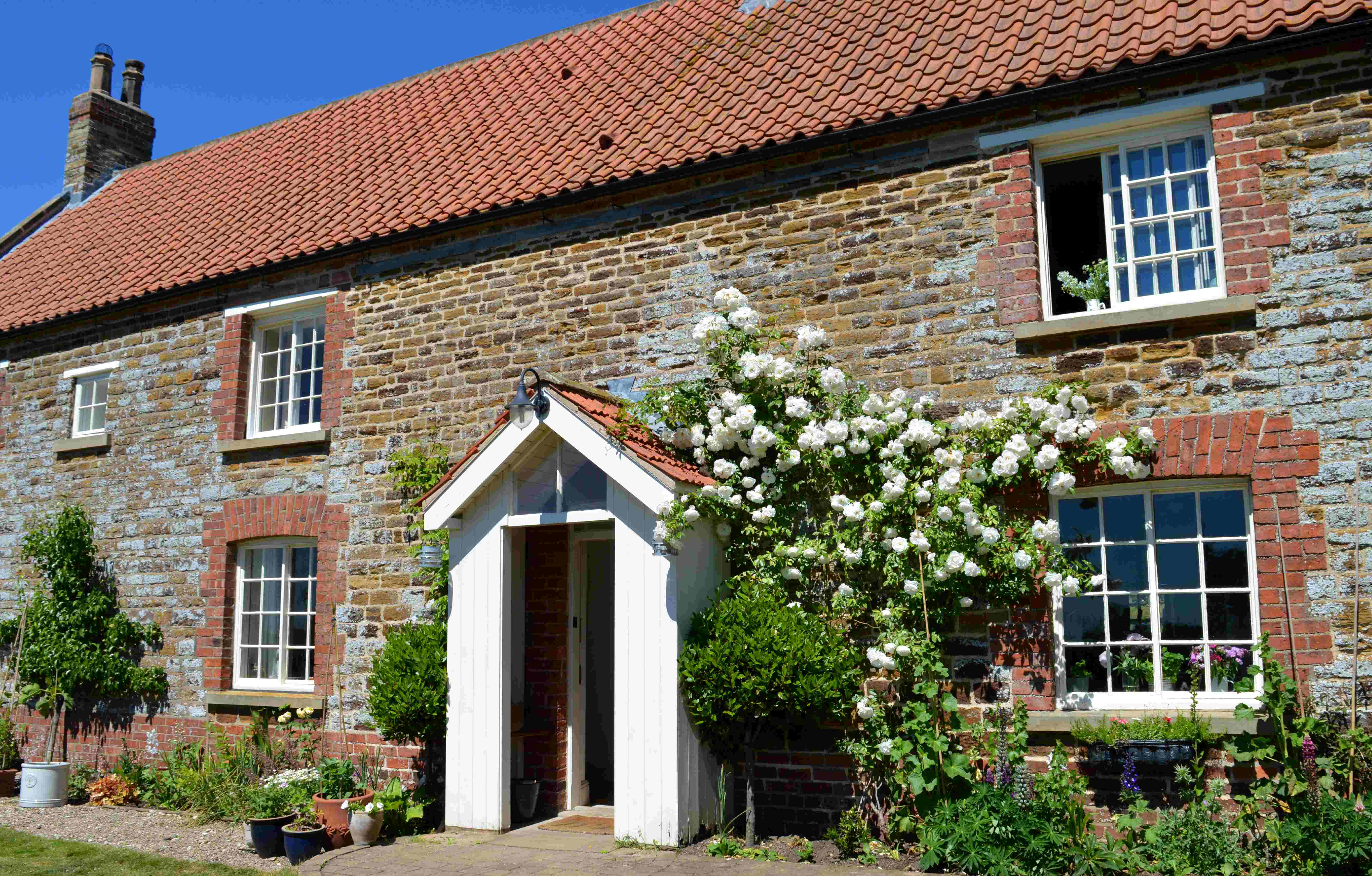 Ryedale Vineyards