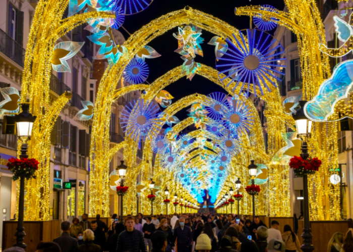 Malaga Christmas Lights 2024